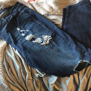 Lane Bryant denim